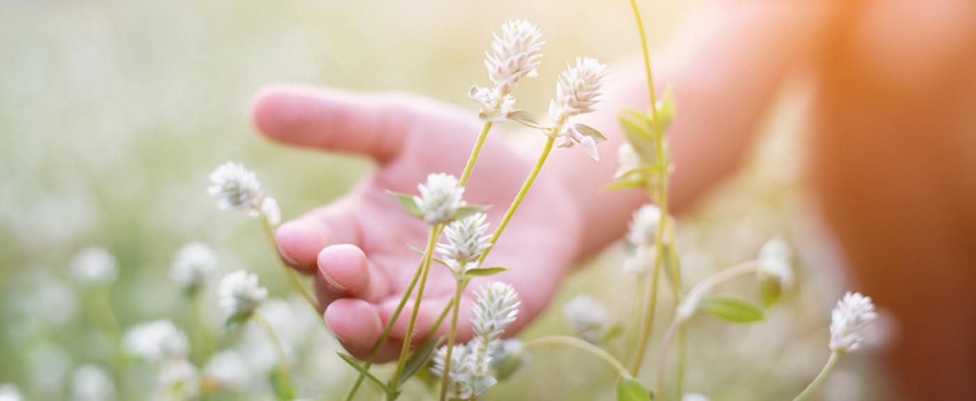 consejos superar divorcio